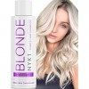 Shampoing Violet pour Cheveux Blonds 500ml Shampoing Bleu Sans Sulfate Patine pour Cheveux Blonds et Gris - Shampoing Blond