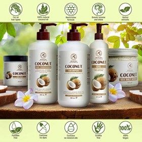 Shampoing Coco 480ml - avec 100% Huile Naturelle de Coco - Shampoing pour Croissance et Volume des Cheveux - Shampooing à Noi