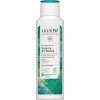 lavera Shampooing Shampooing Volume & Vitalité - Soin à la bambou bio et au quinoa bio - Volume aérien - Soin doux - Cheveux 