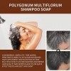Barre de shampooing inversée grise biologique, savon revitalisant biologique naturel, shampooing colorant pour cheveux, barre