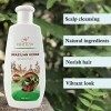 Hristina lhumidité shampooing 100% naturel Brésilien Herbes 400 ml