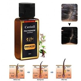 Shampooing Cheveux Noirs, Shampooing Pour Cheveux Noirs Teinture Pour Les Cheveux, Shampooing permanent Pour Cheveux Noirs, C