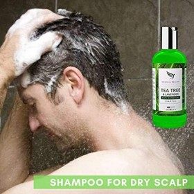 Shampoing Antipelliculaire Professionnel Arbre à Thé- [Made In UK] Apaise le Cuir chevelu Parfait Pour Lutter Contre Les Déma