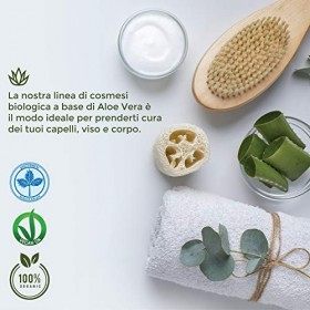 Benessence - Shampooing Antipelliculaire avec Aloe Vera Biologique- 250mL