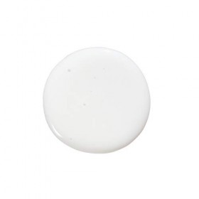 Biolage Scalp Sync Shampooing Anti-Pelliculaire 250 ml