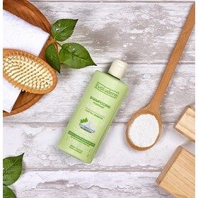 EVOLUDERM - Shampoing Purifiant à lArgile - Aide à réguler lexcès de sébum - Idéal pour Cheveux Gras - 400 ml - 96% dOrigi