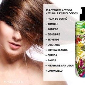 PURIFY Shampoing Cheveux Gras 100% Naturel Et 81% Écologique. Des Cheveux Propres Pendant Des Jours - Shampooing Pour Cheveux