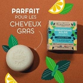BeauTerra - Shampoing Solide pour Cheveux Gras, 75g - à lArgile Verte et Huile dAmande Douce - Shampoing Fabriqué en France
