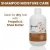 È Pura - Shampoing Soin Humidité - Traitement Professionnel Nourrissant et Hydratant pour Cheveux Secs, Fragiles, Cassants et