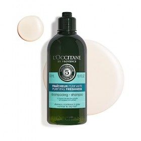 LOccitane - Shampooing Fraicheur Purifiante