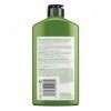 John Frieda Repair & Detox - Shampoing pour cheveux abîmés avec huile davocat et thé vert 250 ml