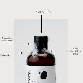 SERGE DESTEL PARIS Shampoing Cheveux Bouclés Sans Sulfate 250ml Contrôle les Frisottis Apporte Légèreté Brillance et Hydrata