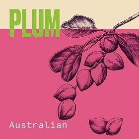 Aussie Miracle Shampooing Volume Léger, 300 ml