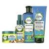 Herbal Essences Réparation Shampoing + Après-Shampoing + Masque Capillaire + Huile En Spray, À L’Huile D’Argan