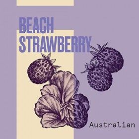 Aussie Shampooing Scent-Sational Smooth 300 ML 