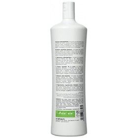 FANOLA Rebalance Shampooing Anti-Graisse pour Cheveux - 1000 ML