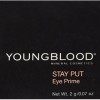 YOUNGBLOOD - Stay Put Eye Primer