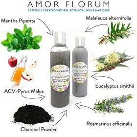 98,5% Naturel SHAMPOOING - ALOE VERA, CHARBON, VINAIGRE DE CIDRE DE POMME, MENTHE, ARBRE A THE & EUCALYPTUS - 250ml par AMOR 