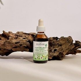 Maternatura Lotion Stimulante Antichute aux Feuilles dOlivier 1 Unité
