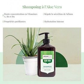 Arganicare - Duo Purifiant à lAloe Vera - Shampooing 400ml + Après-shampooing 400ml