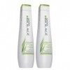 Matrix Biolage Scalp Sync Scalp Clean Reset Shampoing normalisant 250 ml Double