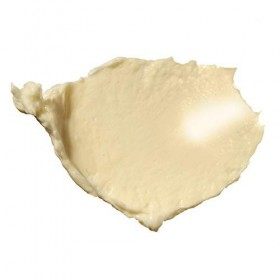 Biolage Smoothproof Shampoing Discplinant 100Ml , 100 Ml Lot De 1 