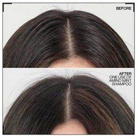 Redken Shampooing cuir chevelu Amino-Menthe 300ml Double