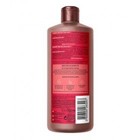 FRANCK PROVOST EXPERT PROTECTION 230°C Shampooing Professionnel Répare et Protège du Desséchement. Formule sans silicone pour