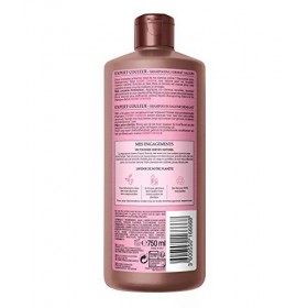 FRANCK PROVOST EXPERT COULEUR Shampooing Professionnel Protection et Eclat 750.0 ml