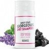 Handmade Heroes - Shampoing Sec Drop Dead Gorgeous, Non - Aérosol, 50g | Naturel et Vegan | Poudre Pour Cheveux Volumisante, 