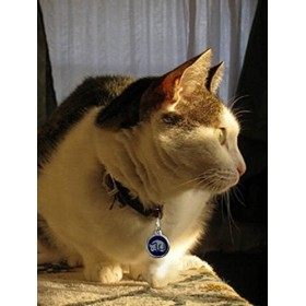 SECRETS DE PROVENCE Shampooing solide pour cheveux secs à largile rouge - 85g