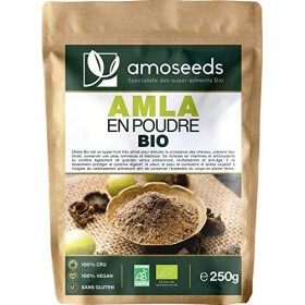 Amla en Poudre Bio 250G | Qualité Supérieure | Cheveux robustes, Anti-chute, Belle Peau, Vitamine C