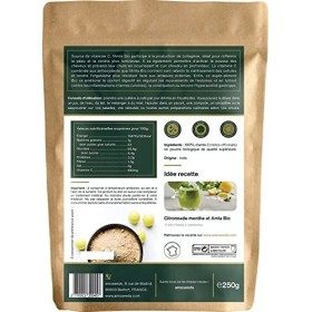 Amla en Poudre Bio 250G | Qualité Supérieure | Cheveux robustes, Anti-chute, Belle Peau, Vitamine C