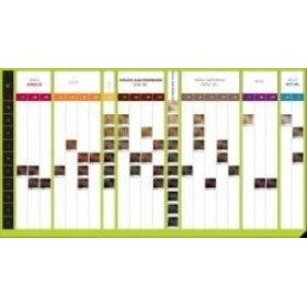 Davines NT Replumping Hair Filler Superactive Fluid 100ml