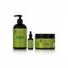 Mielle /romarin menthe fortifiante/shampooing/masque capillaire/cuir chevelu et huile fortifiante sérum / offre/coffret cad