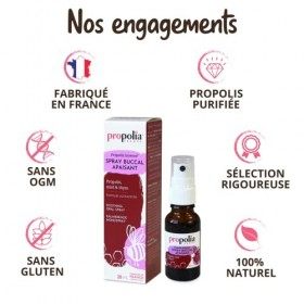 PROPOLIA - Spray buccal apaisant - Propolis / Miel / Thym / Eucalyptus- Irritations de la gorge et de la bouche - 100% nature