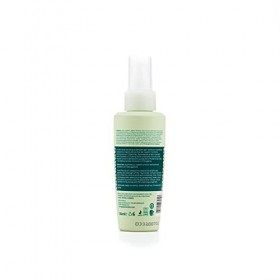 GYADA COSMETICS, Sérum Cheveux Renforçant avec Spiruline, Sans Rinçage, Restructurant, Polissant, pour Cheveux Doux et Élasti