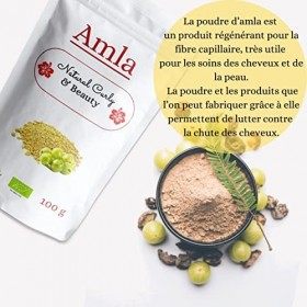 Amla en poudre BIO d’Inde avec pinceau applicateur en silicone-Lutte contre la chute des cheveux, les pellicules et vieilliss