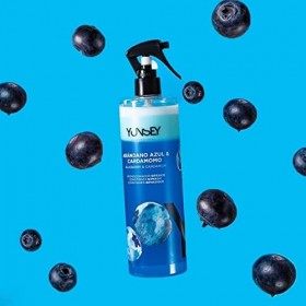 Spray Biphase Nutritif Instantané et démêlant - Arôme Myrtille et Cardamome- Soin Cheveux - Répare et Nourrit - Anti-Frisotti