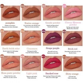 12 pièces Crayon à Lèvres Mat,High Pigmented Rouge à lèvres Lip Liner Set Waterproof, Sans Bavure, Longue Tenue pour tous les