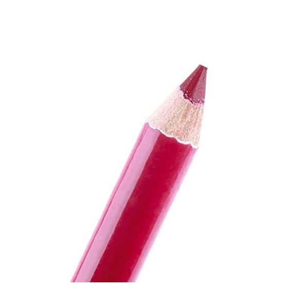 12pcs Lip Liner Rimmel Lip Liner Lip Pencil Lip Plumper Professional Lipliner Waterproof Lip Liner Pencil Set Long Lasting Li