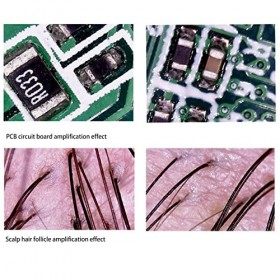 Détecteur de Follicule Pileux USB Grossissement 800X 8 Pièces Puces Lumineuses Diagnostic de la Peau Portable Analyseur de Ch
