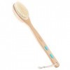 Vantic Brosse pour Corps Humide Beige, 17 inches long, 1 Unité