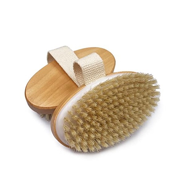 Firschoie 2 Pièces Brosse pour le corps de Massage, Brosse corporelle pour éliminer les peaux mortes, Utilisé pour améliorer 