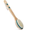 MainBasics Brosse à dos double face pour douche avec poils exfoliants et doux