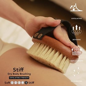 ICANdOIT Brosse pour le corps à brosser à sec, 100 % poils naturels dagate et de cactus, brosse sèche pour la cellulite et l