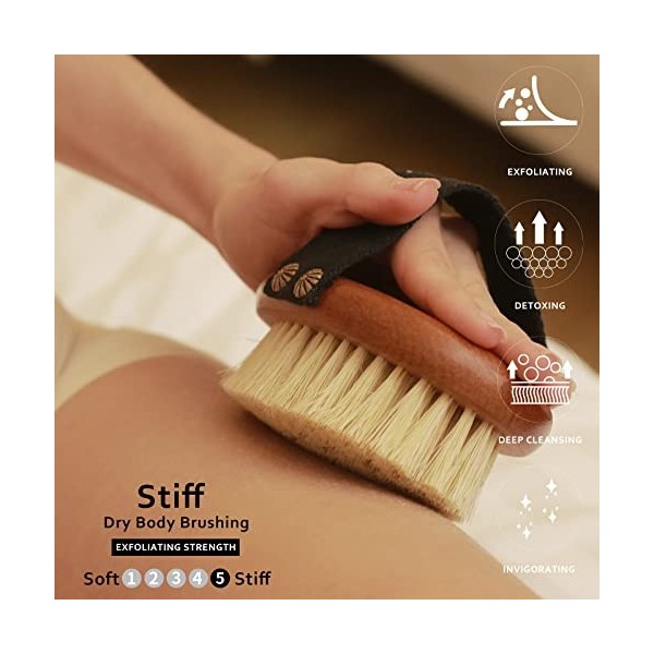 ICANdOIT Brosse pour le corps à brosser à sec, 100 % poils naturels dagate et de cactus, brosse sèche pour la cellulite et l