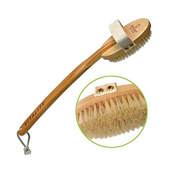 ZEN ME Brosse sèche pour le corps avec poils naturels et manche amovible pour améliorer la santé et la beauté de votre peau, 