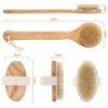 AMAKE Lot de 2 brosses sèches pour le corps, manche long en bambou pour salle de bain, douche, crinière naturelle, sébum et c