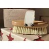 Stephanie Franck Beauty - Dry Brushing Body Brush - Brosse de Massage à sec - en Fibre de Tampico et Bois de Hêtre FSC, 100% 